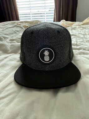 Pineapple Patch Toddler Snapback Hat - Black & Gray